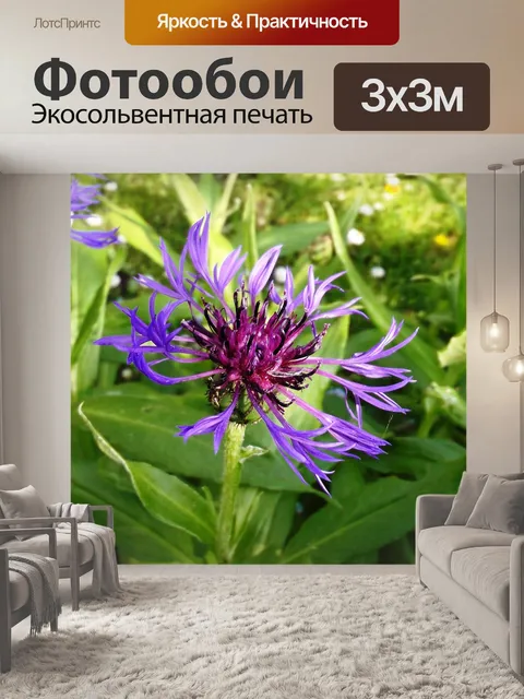 Фотообои Васильковый