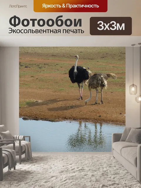 Фотообои Южная африка