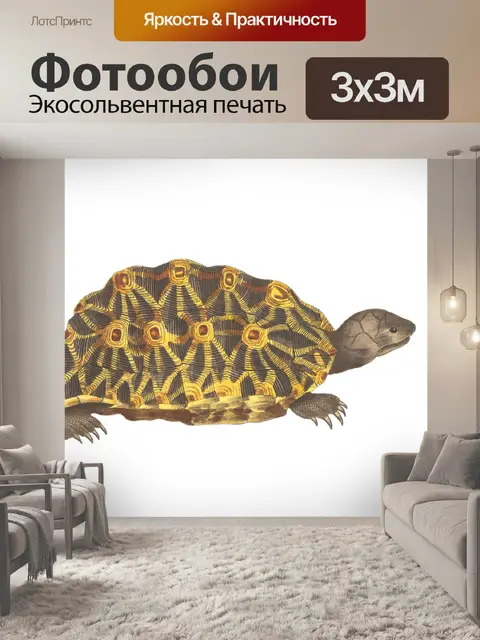 Фотообои Черепаха