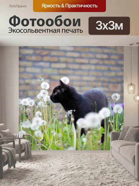 Фотообои Черный