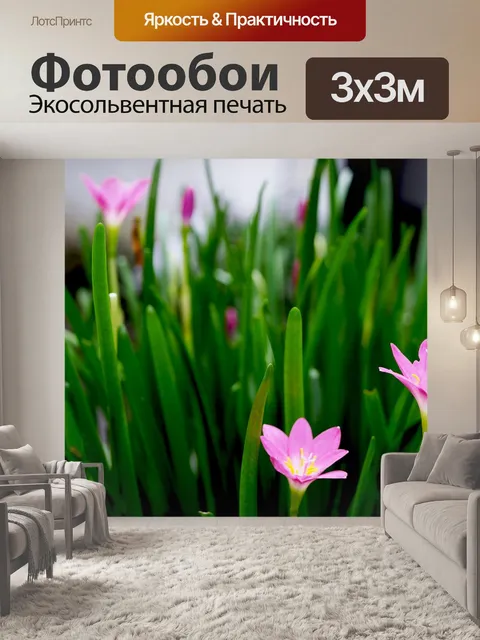 Фотообои Тюльпаны