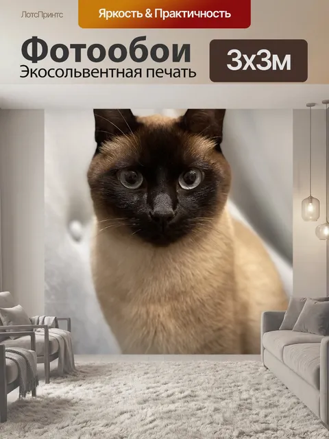 Фотообои Сиамский