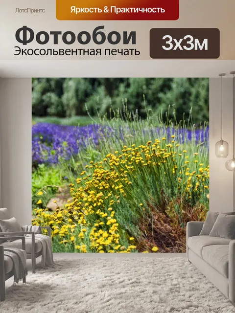 Фотообои фиолетовые и желтые цветы