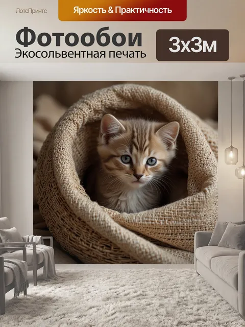 Фотообои котята в одеяле, kittens in blanket, пушистые котята, милые кошки, уютные