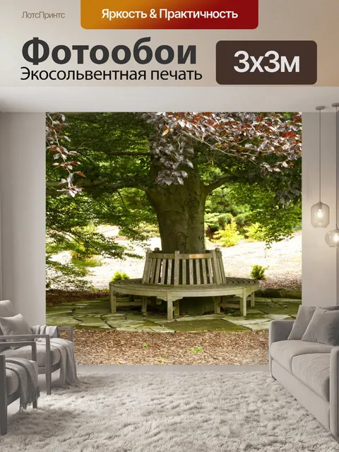 Фотообои Скамья вокруг дерева