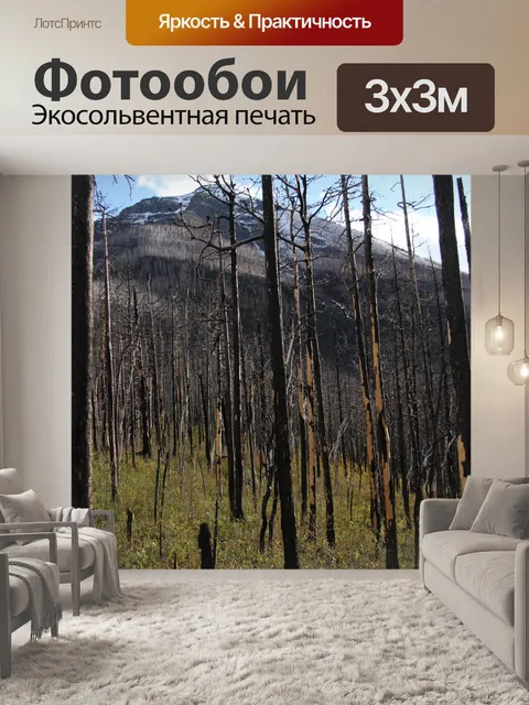 Фотообои Сгоревшее дерево в горах