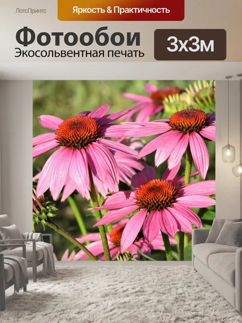 Фотообои Три розовых египетских цветка после дожд