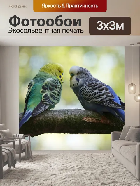 Фотообои Волнистый попугайчик