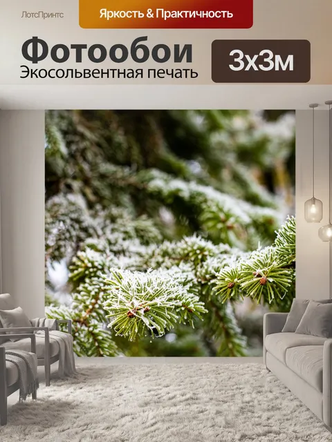Фотообои Ель