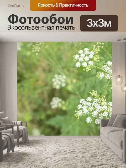 Фотообои Зеленые растения 3