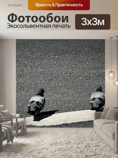 Фотообои Птица