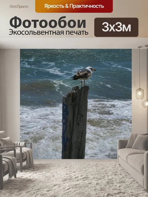 Фотообои Чайка на пирсе