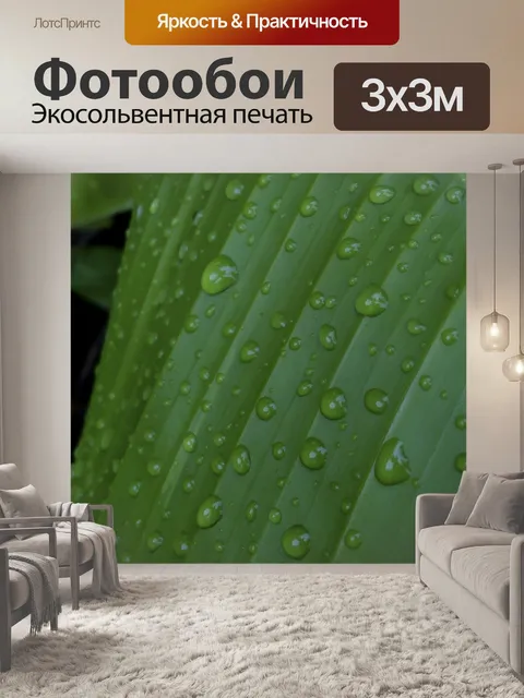 Фотообои Капли воды на листьях