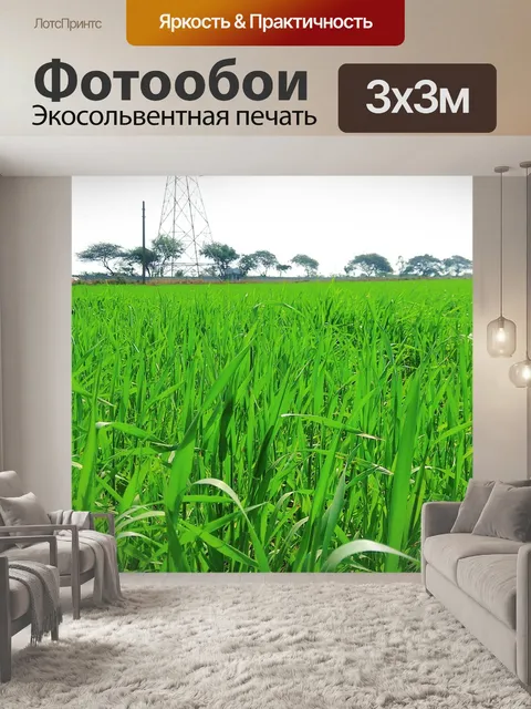 Фотообои Естественный
