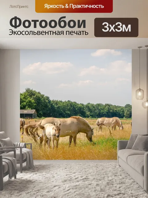 Фотообои Лошади
