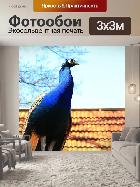 Фотообои Павлин