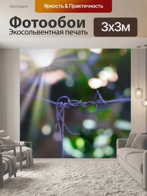 Фотообои Двор