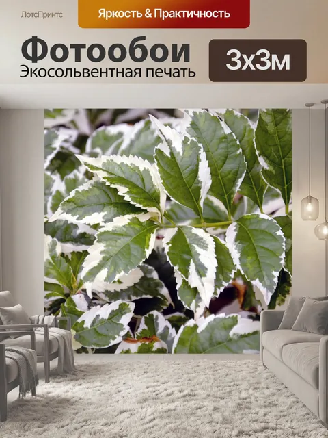 Фотообои Зеленые и белые листья фон