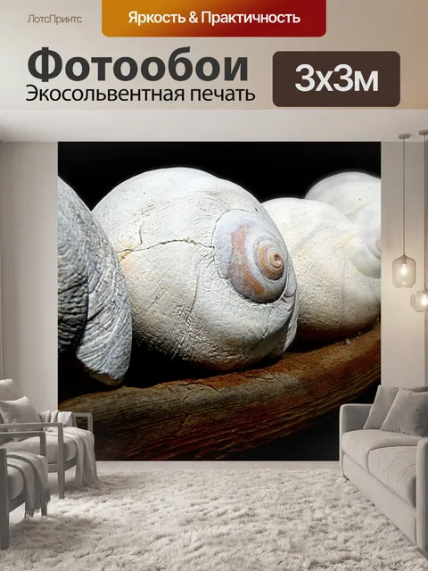 Фотообои Снаряды луны