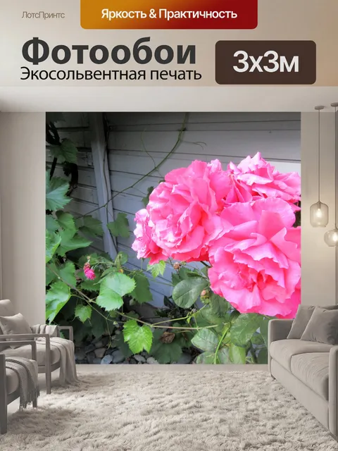 Фотообои розовые розы