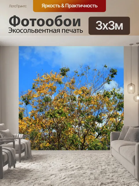 Фотообои желтые листья на фоне неба