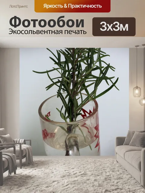 Фотообои зеленая ветка