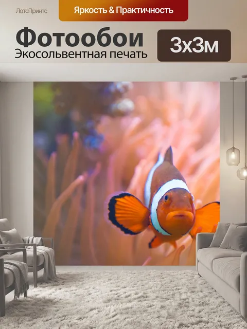 Фотообои рыба-клоун