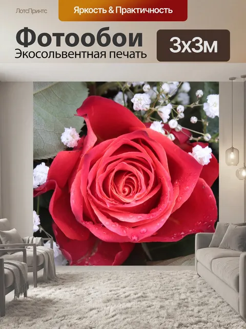 Фотообои Роза