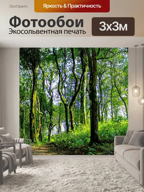 Фотообои Тропинка в садовых джунглях
