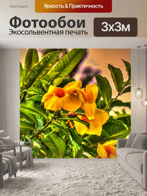 Фотообои Желтый цветок Алламанда