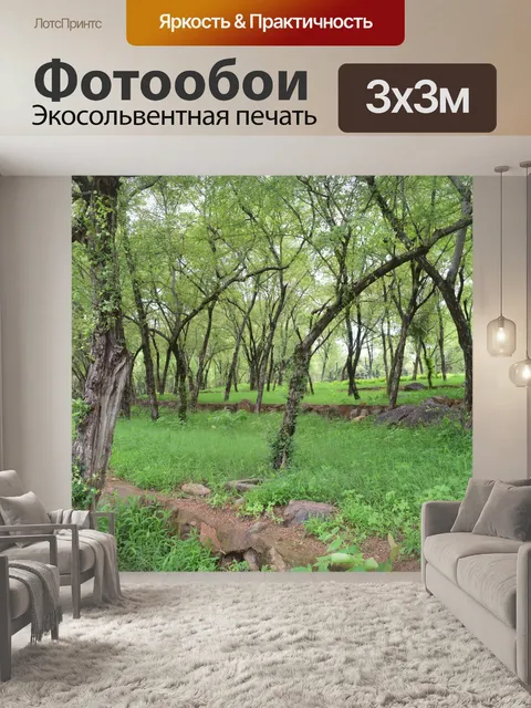 Фотообои лес 12