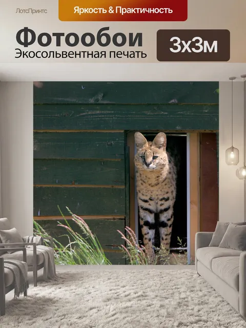 Фотообои Сервал