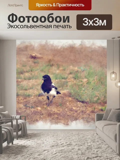 Фотообои черная сорока