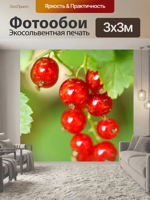 Фотообои красная смородина
