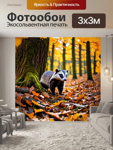 Фотообои в глубоком осеннем лесу