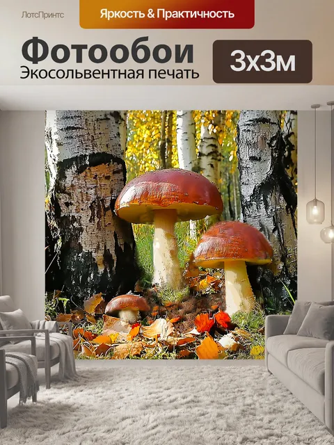 Фотообои Грибы в лесу