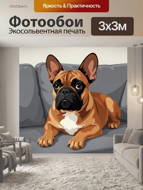 Фотообои Французский бульдог на диване