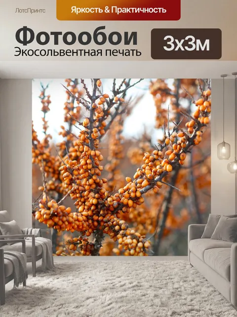 Фотообои Балтийское море
