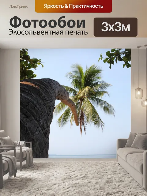 Фотообои Кокосовое дерево