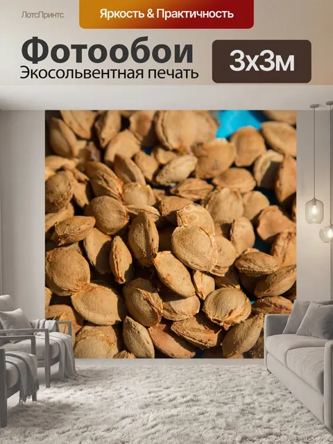 Фотообои куча абрикосовых косточек