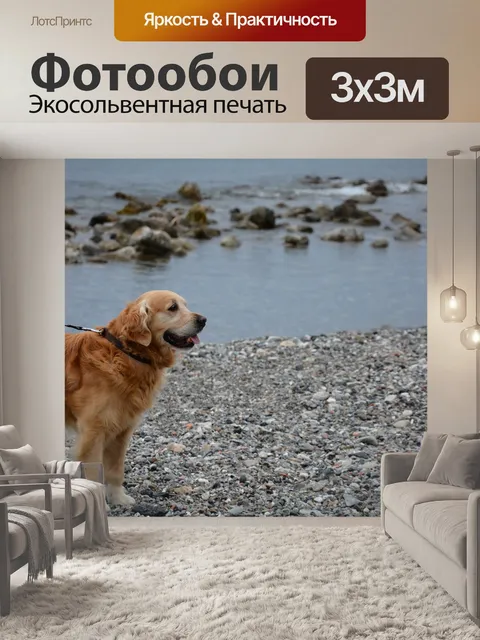 Фотообои Собака