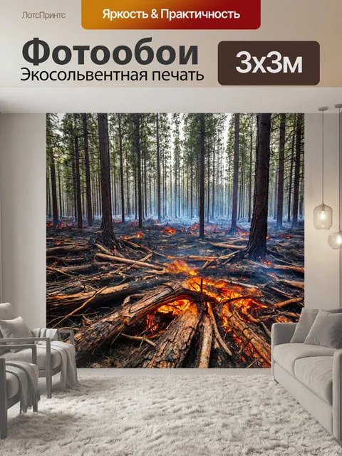 Фотообои разрушенный лес, следы лесных пожаров, восстановление природы, рождение нового