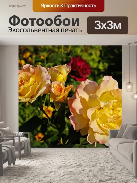 Фотообои Роза