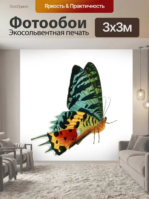 Фотообои Клипарт бабочка винтажное искусство