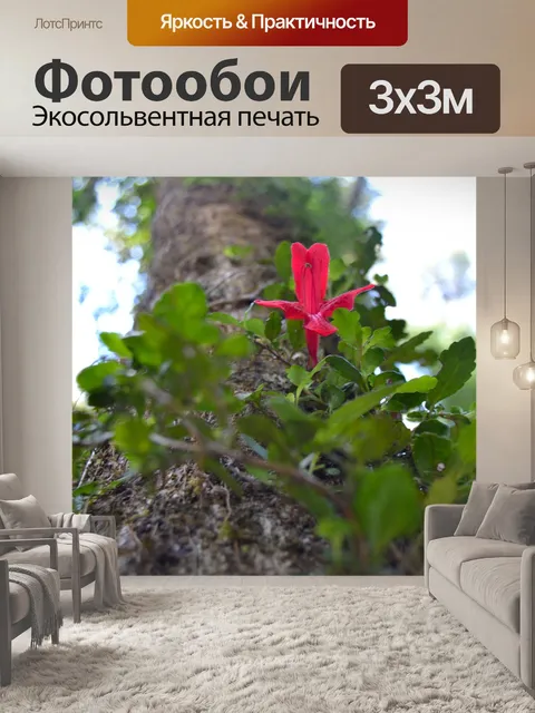 Фотообои Цветок