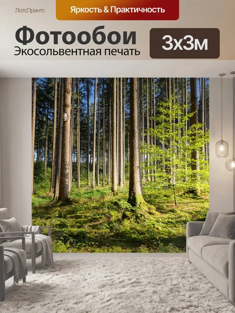Фотообои Лес