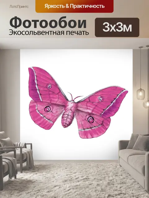 Фотообои Клипарт бабочка винтажное искусство