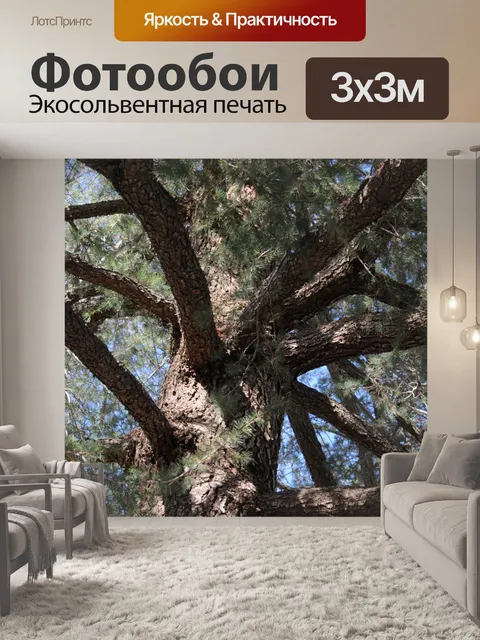 Фотообои Ветви деревьев фона