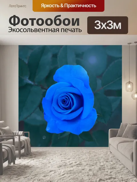 Фотообои Синяя роза