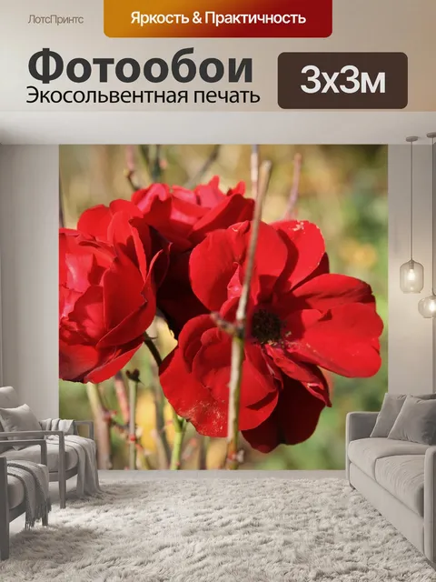 Фотообои Розы